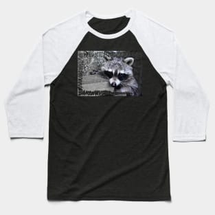 Raccoon - Waschbaer - Raton Laveur Baseball T-Shirt